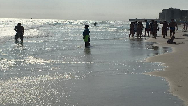 shark bite beach