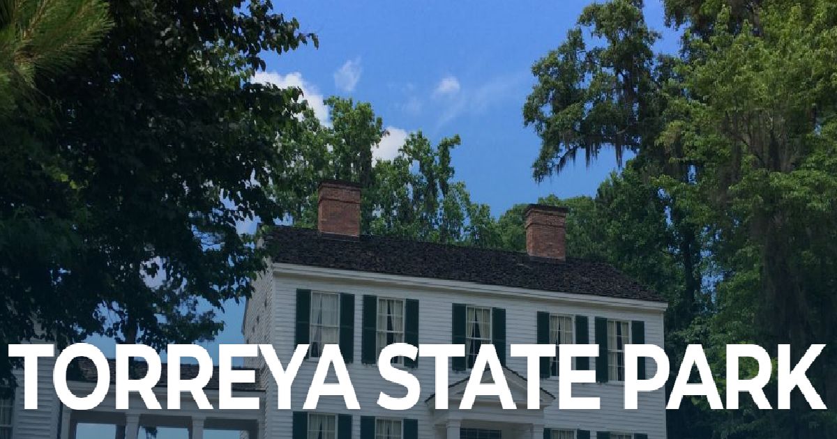 torreya state park.png