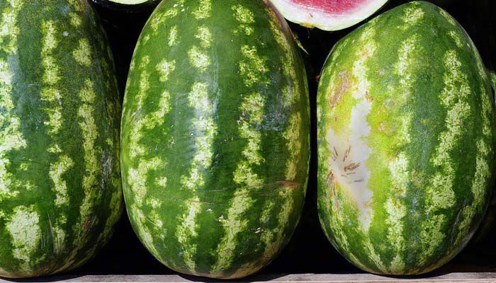 Monticello Watermelon Festival marks 75 years this weekend