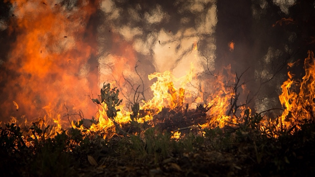 Rainfall eases wildfire threat, but officials urge caution - Vimarsana News