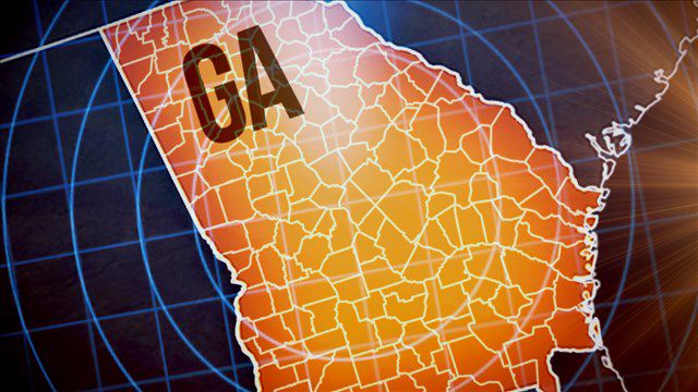 Tax changes, reading instruction top Georgia Senate GOP aims - Vimarsana News