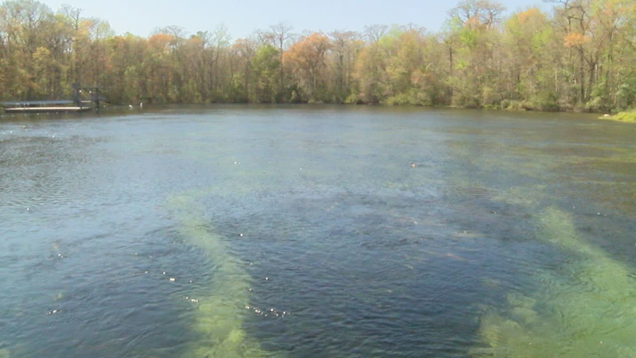 Wakulla Spring