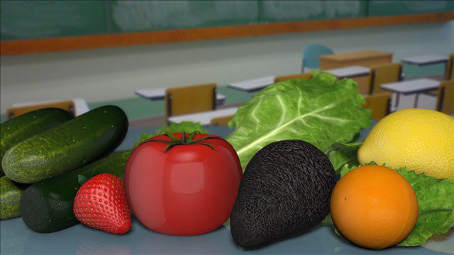 Food distribution in Echols County set for Thursday - Vimarsana News
