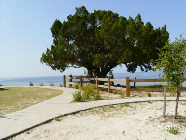 Shell Point Beach