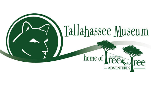 Tallahassee Jazz & Blues Festival to kick off this weekend - Vimarsana News